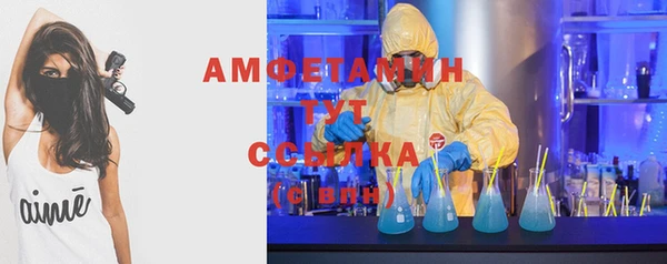 шишки Володарск