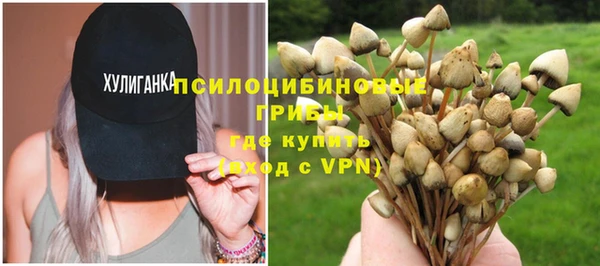apvp Волоколамск